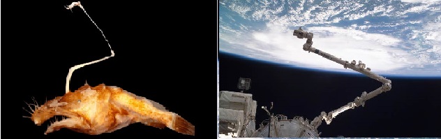 direction of development.jpg